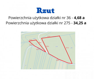 Działka Sprzedaż Kraków Kraków-Podgórze